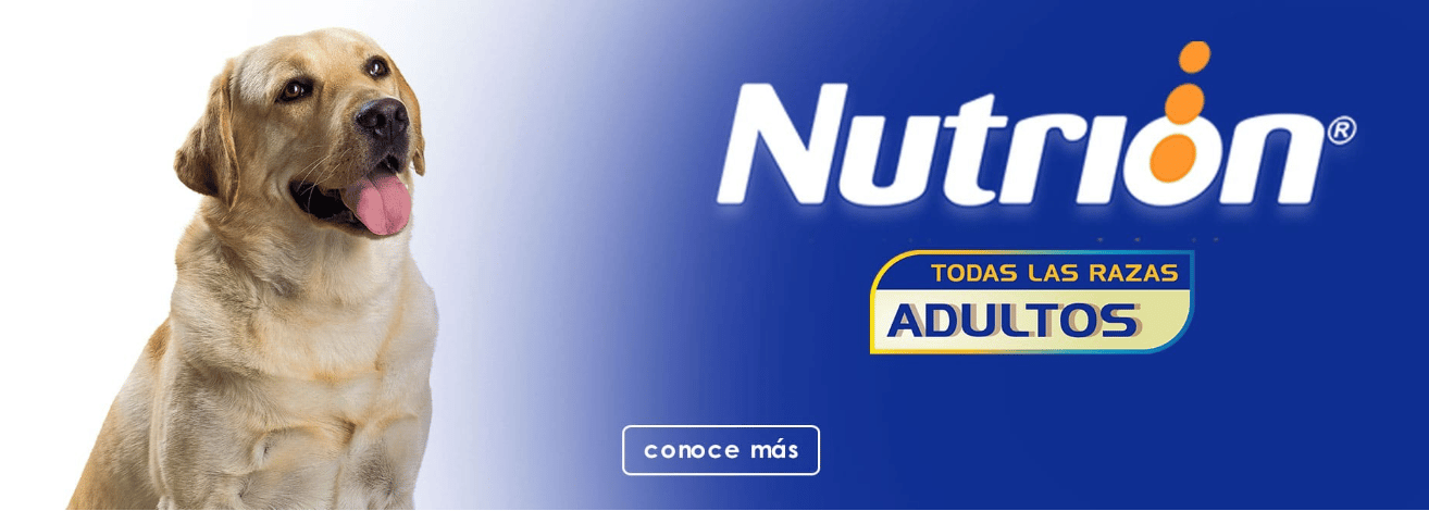 Nutrion 2