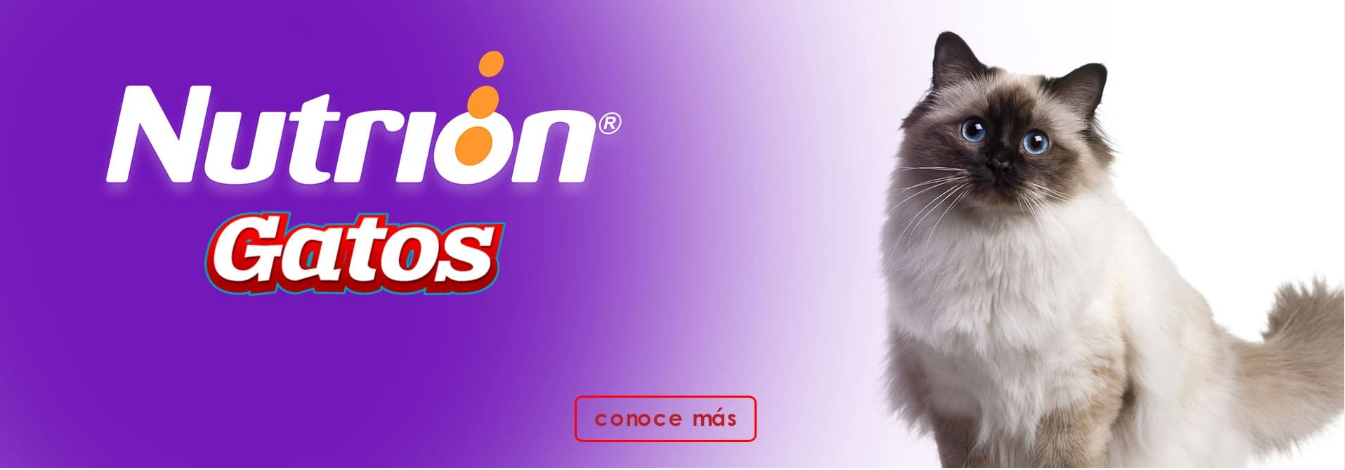 Nutrion 4